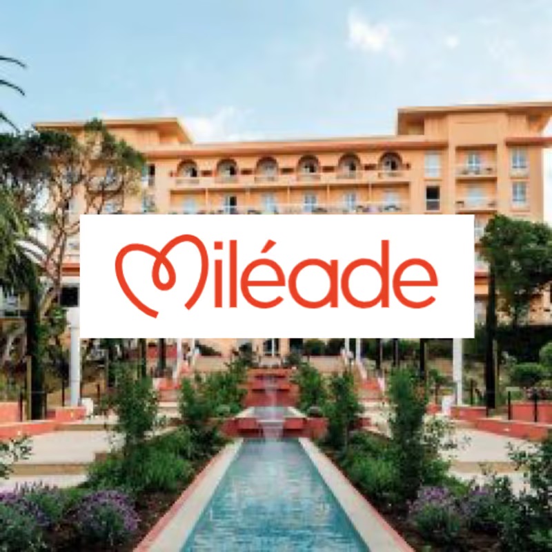 Logo mileade